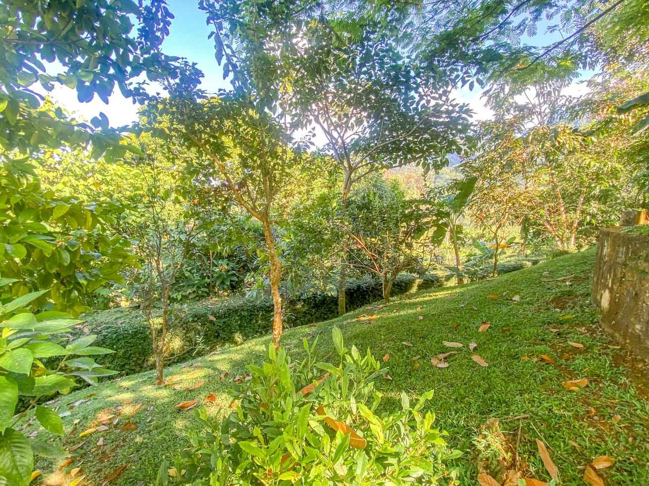 Ocean, Jungle & Mountain View Home in Ojochal | Protected Jungle Setting