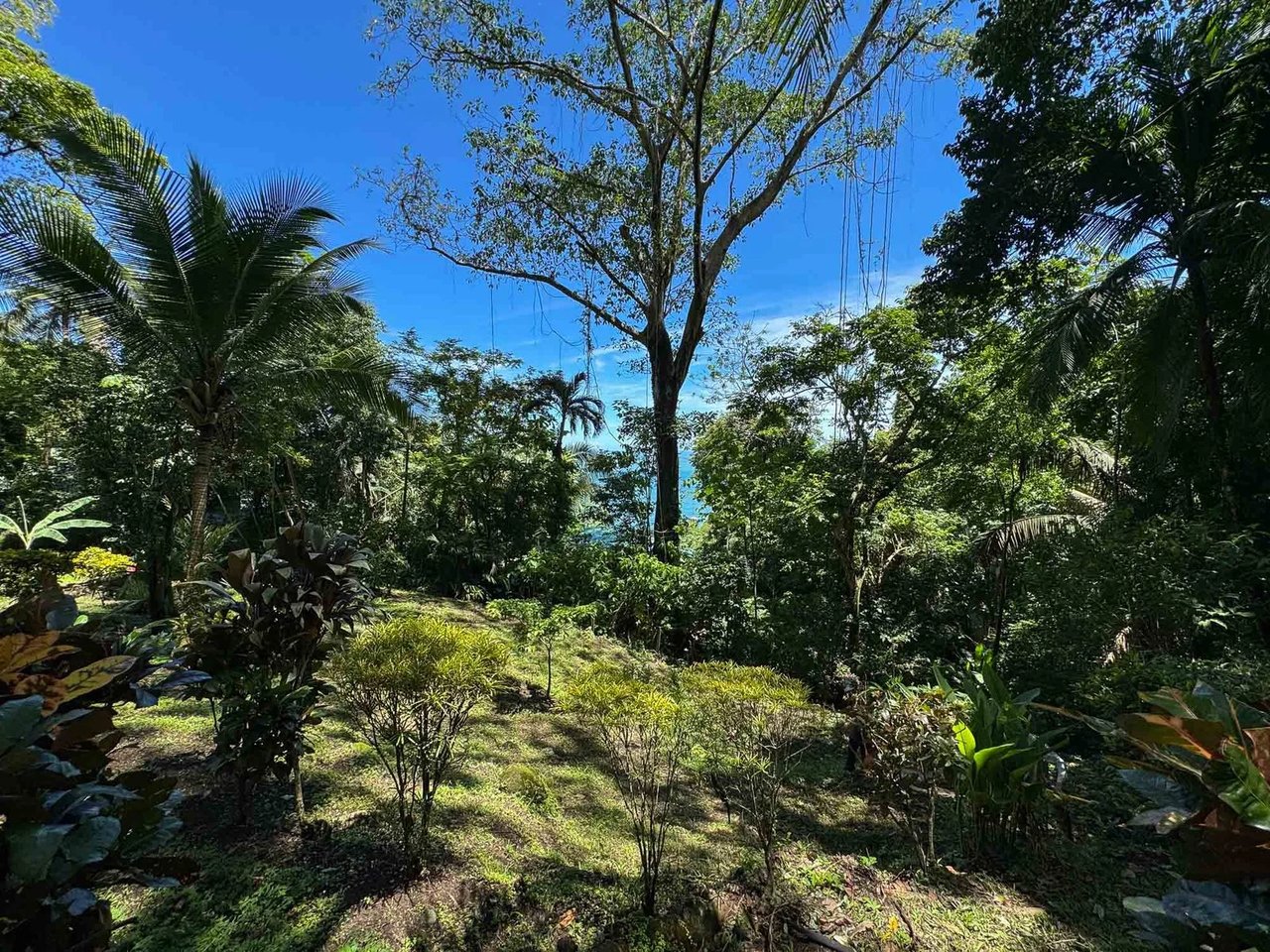 Ocean View Estate Property