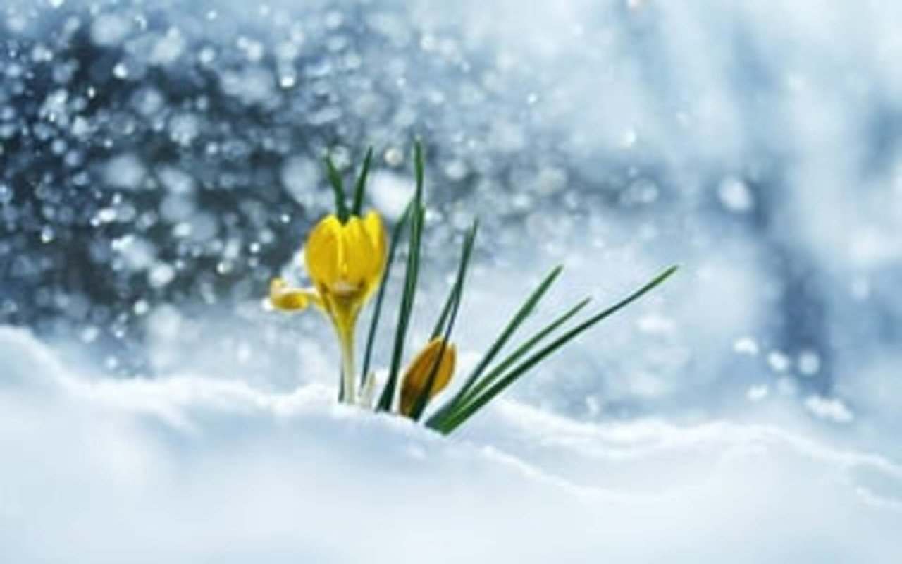 Is It Spring Yet?