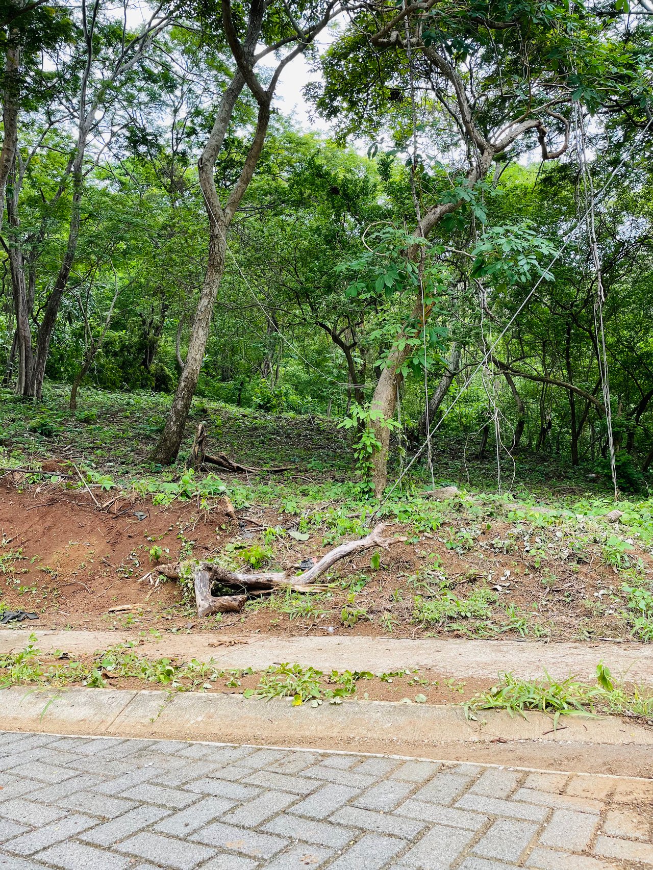 Valle Escondido