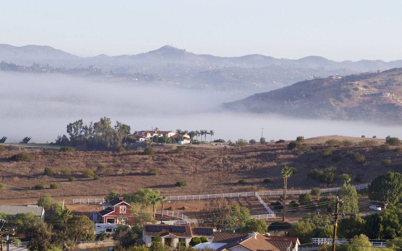 Bonsall