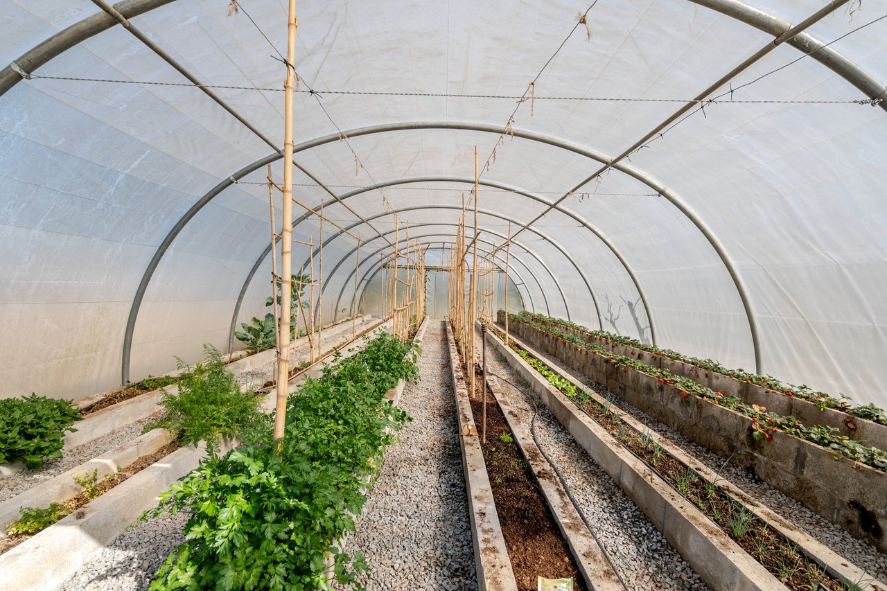 Exceptional Renovated Estate with 4 Residences, Pool & Orchard Near Porto