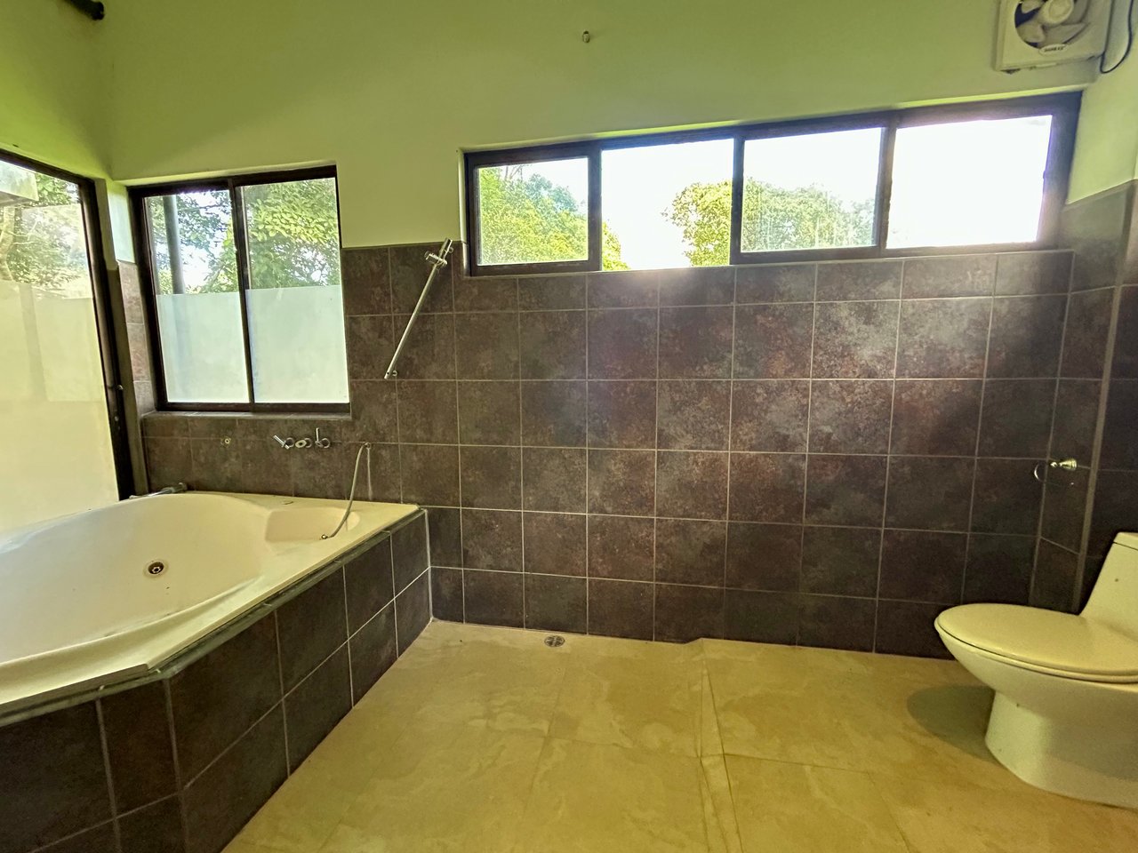 Fixer-Upper Home with an studio Office in Palmar Norte on a 4-Hectare Property