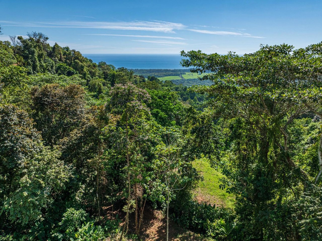 Premier Ocean View Development Land, Manuel Antonio, Puntarenas