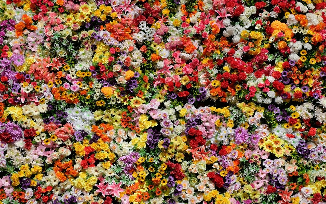 How To Keep Cut Flowers Fresh