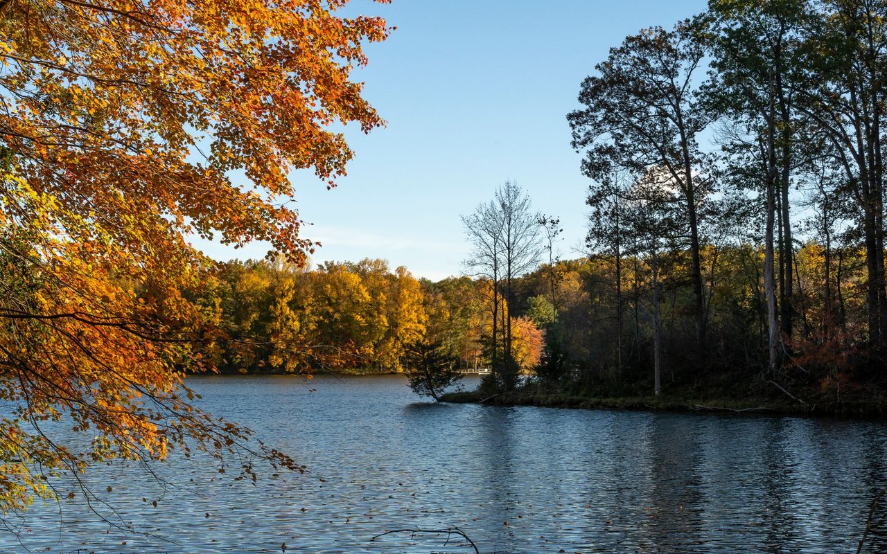 Country Lakes