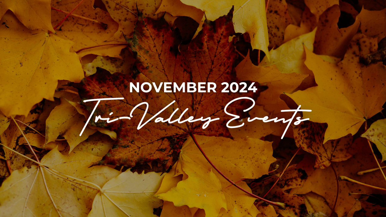 Tri-Valley Events: November 2024