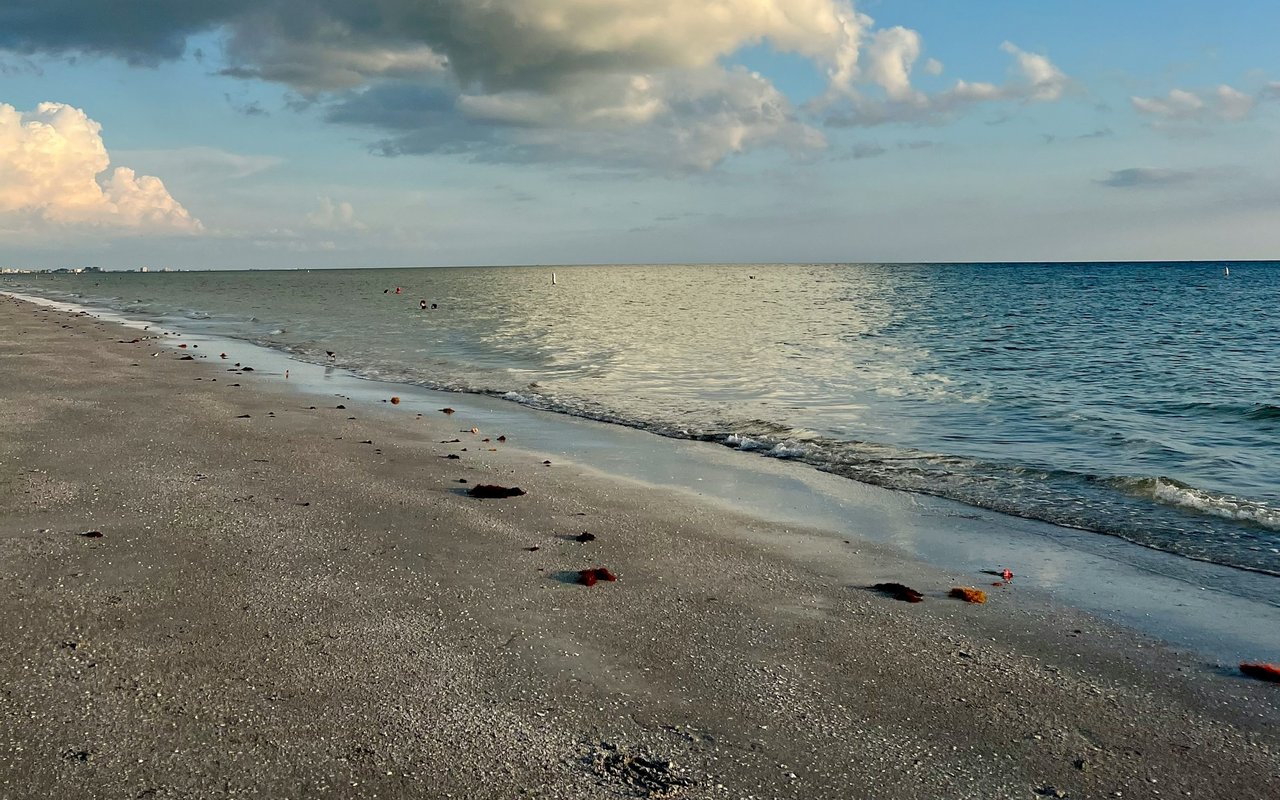North Redington Beach shoreline with scattered seaweed, gentle waves, and clouds over the Gulf.