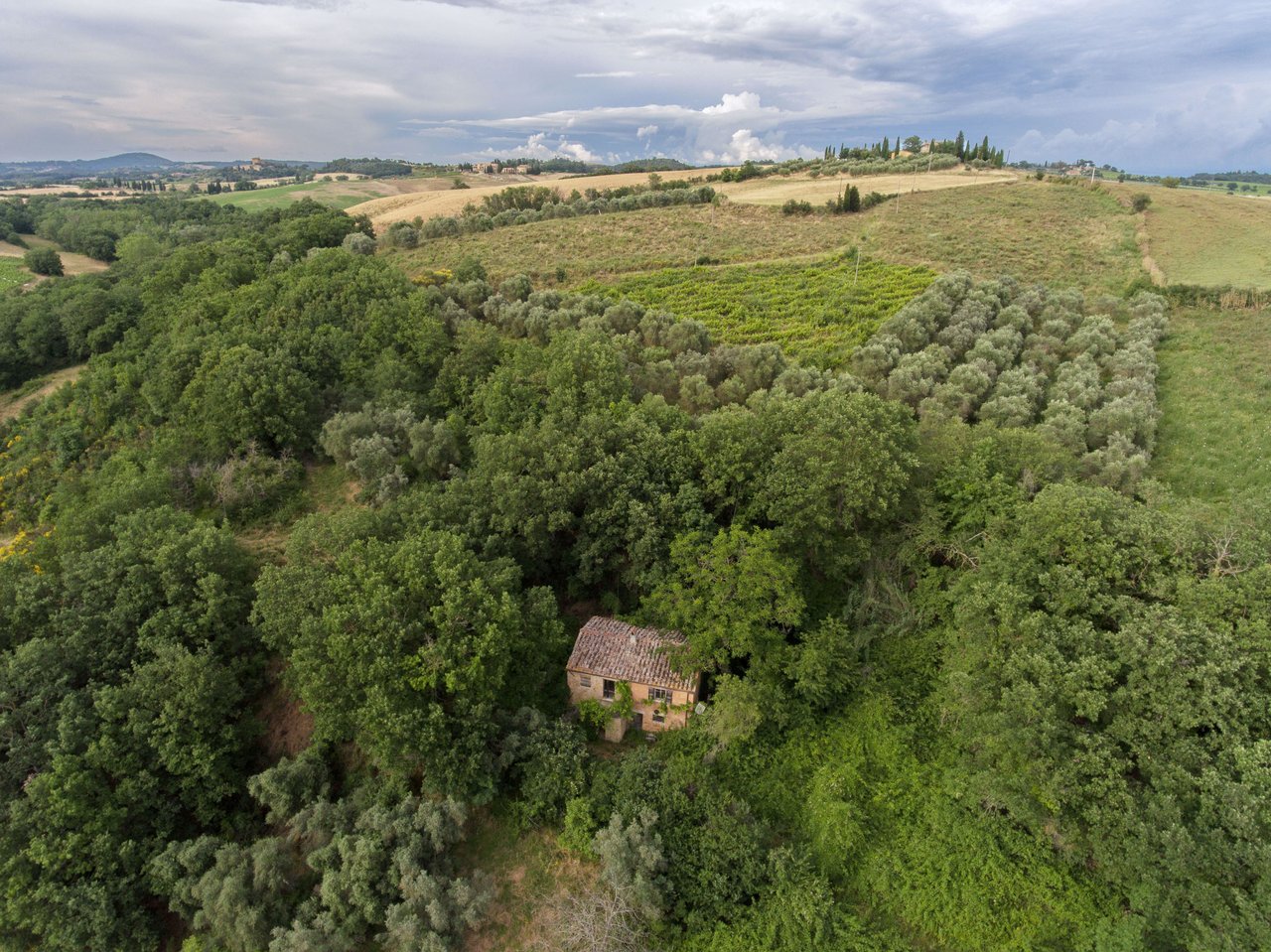 CASALE LA MUSICA A PIENZA