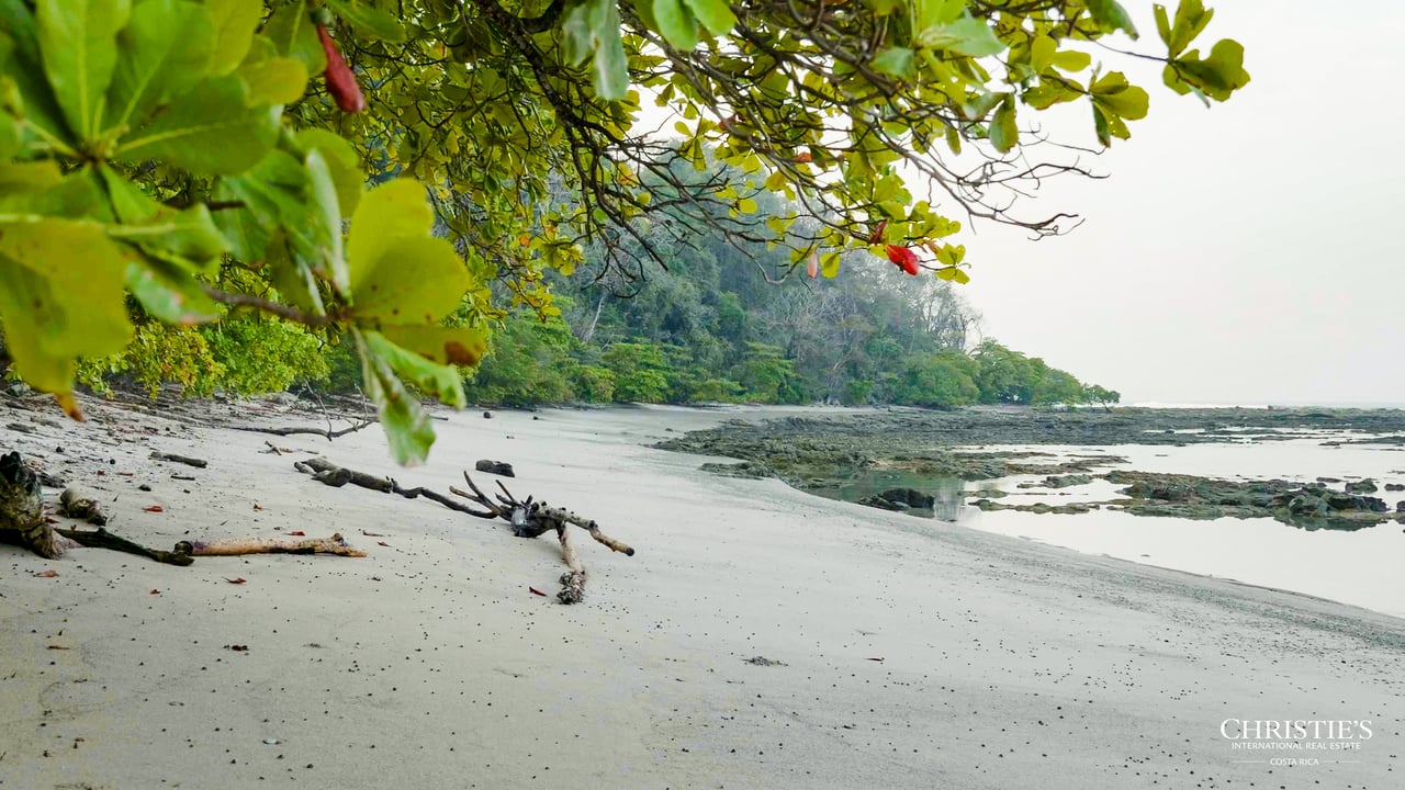 Development Opportunity in Santa Teresa