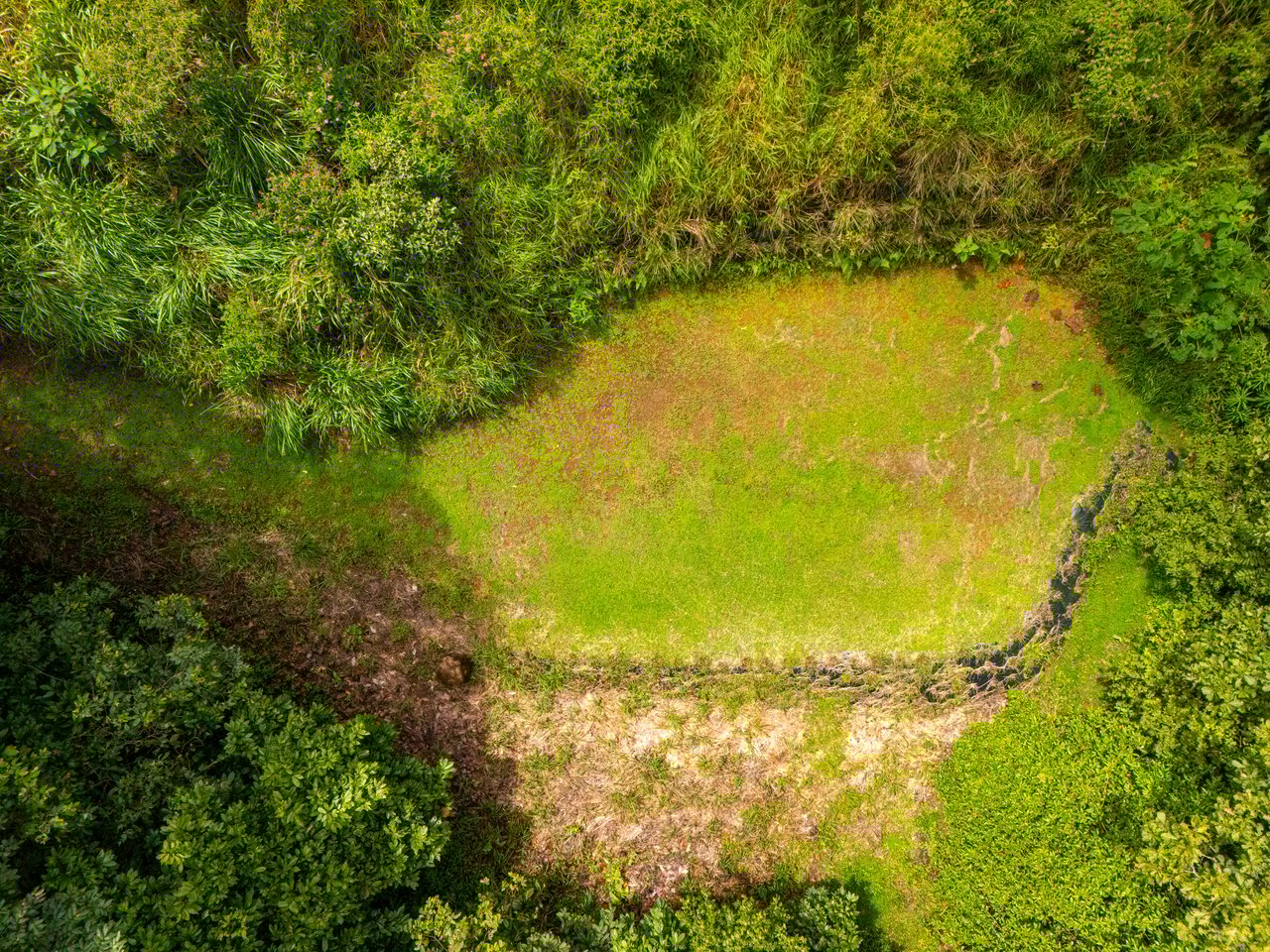 Plant Your Roots at Tierra Bendita! 2.5 Acres, River Frontage, 2 Bedroom Home, Private, Easy Access!