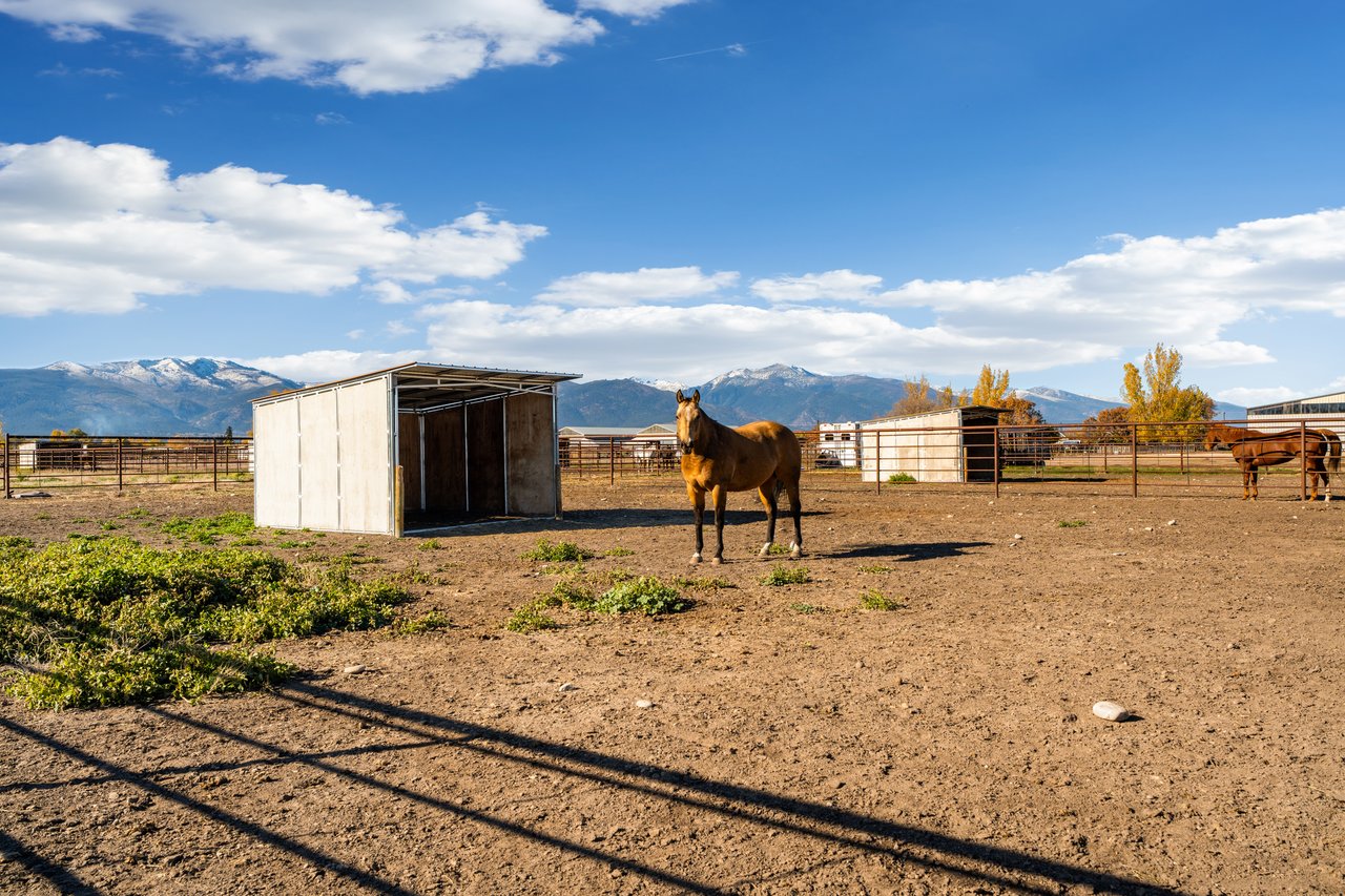 5C Arena & Event Center | Turnkey Equestrian & Event Facility in the Bitterroot Valley