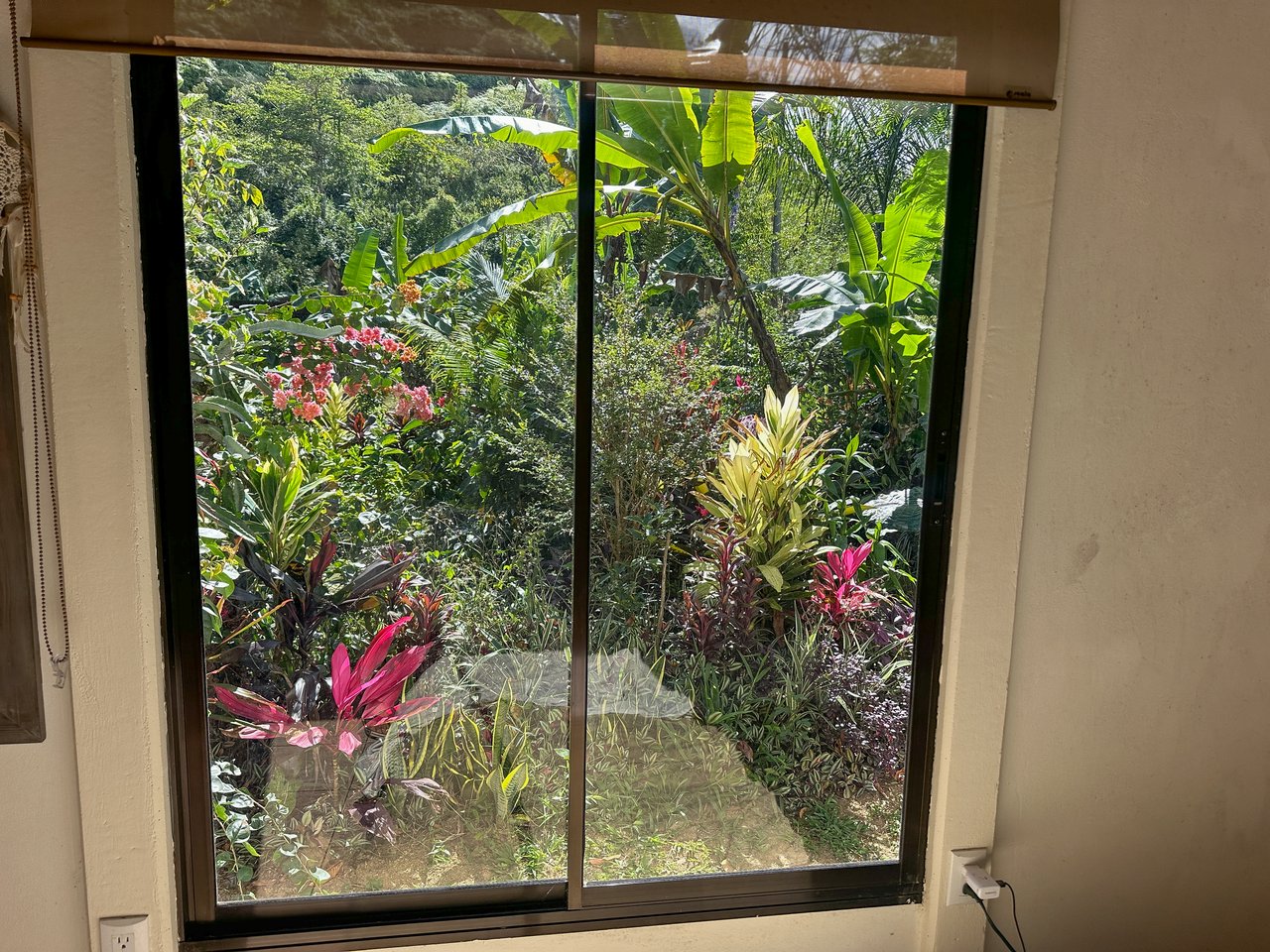 Tinamastes Costa Rica Property with Home, Yoga Deck & Land