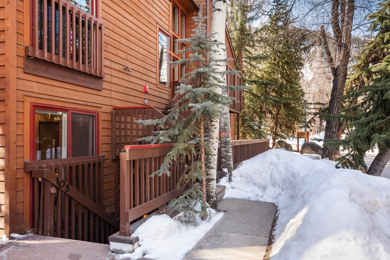 Newly Remodeled Core Condo with Aspen Mountain Views
