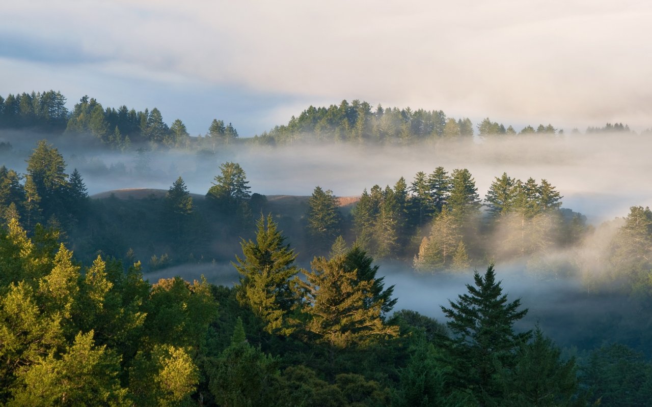  Los Gatos Mountains