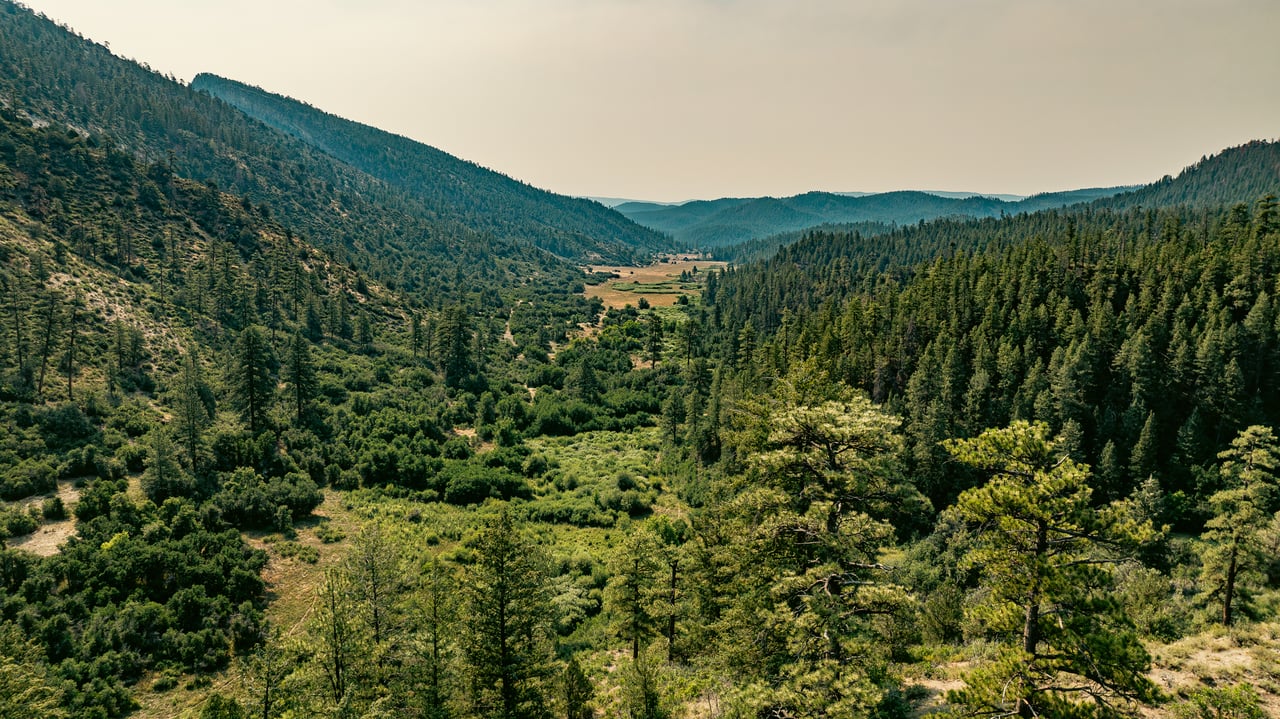 Forested mountain valley with an open meadow and hazy ridgelines.