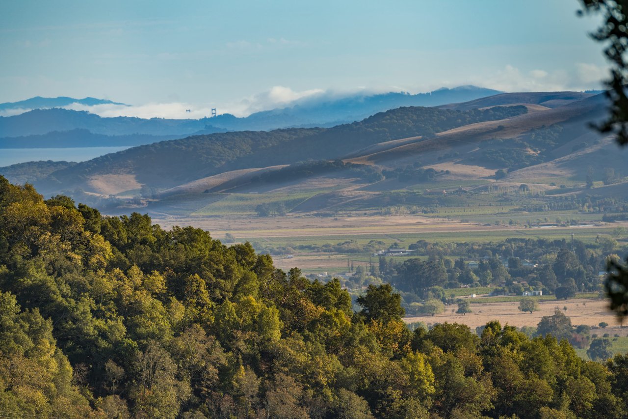 Gehricke Road, Sonoma