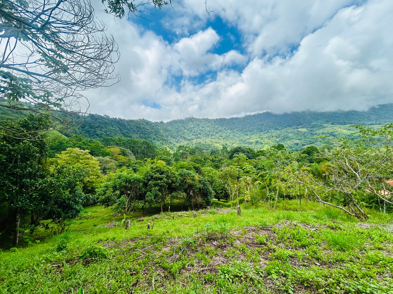 Ocean & Mountain View Lot with Multiple Building Sites-20 Minutes from Uvita