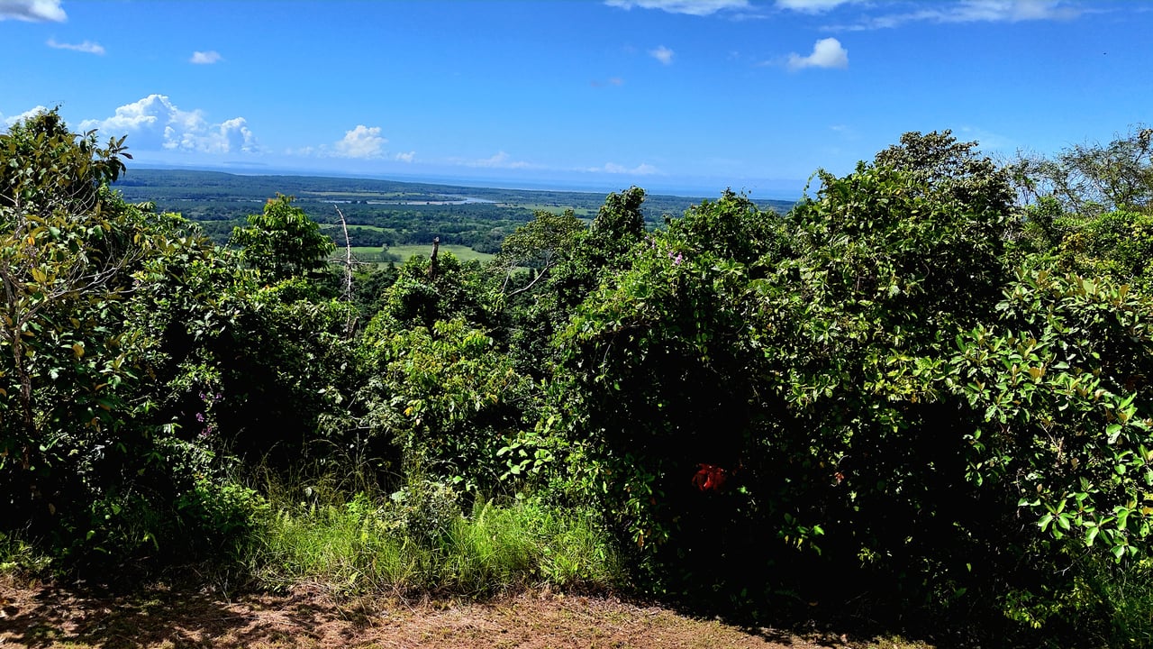  FIRE SALE! Two Adjacent Ocean-View Lots Sold Together – Chontales, Osa (10,487 m² + 9,844 m²)