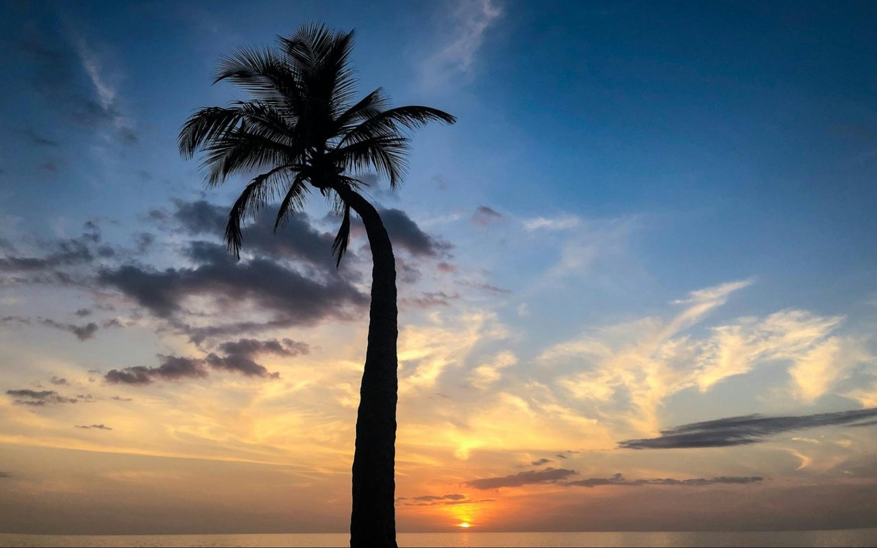 Everything You Need to Know About Moving to Naples, FL