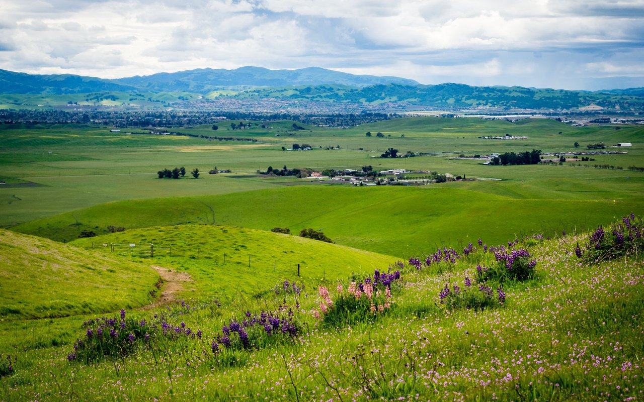 Ruby Hill
