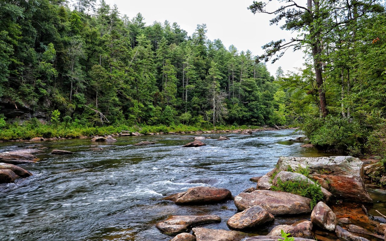 Riverwood