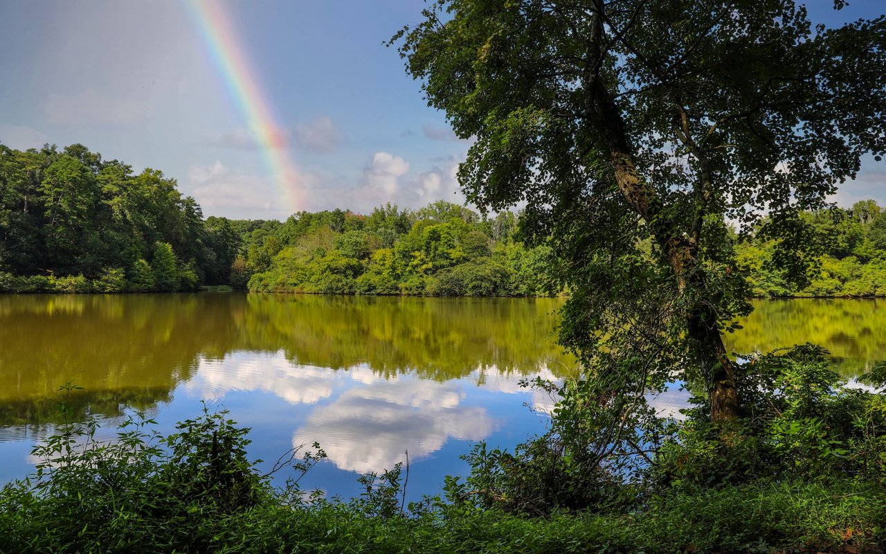Candler Park