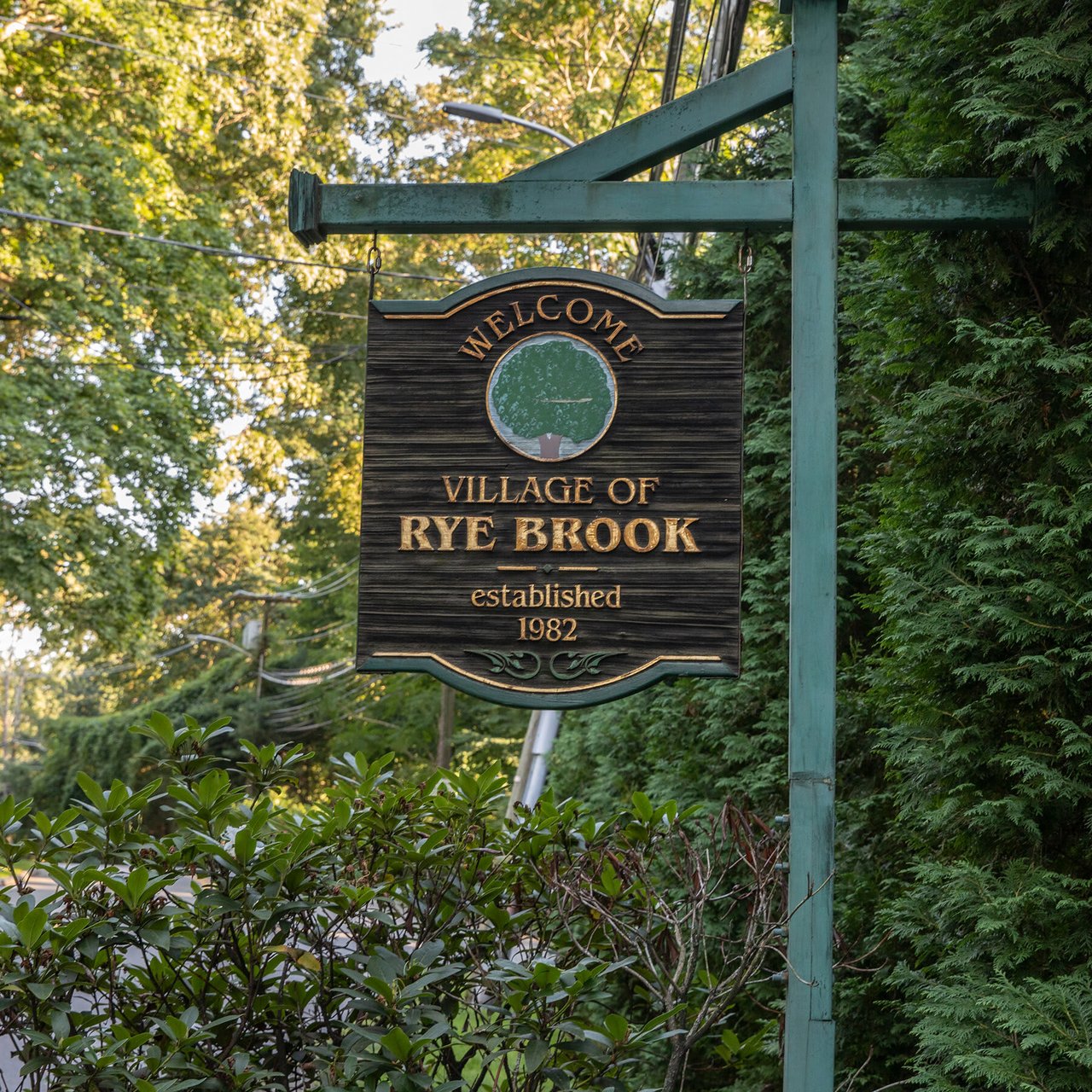 Rye Brook