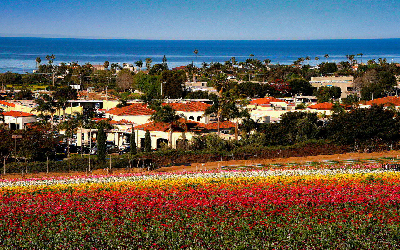 Carlsbad