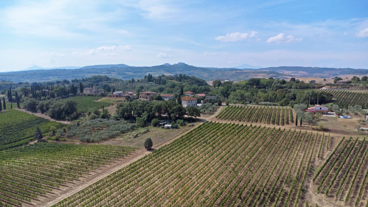 AZIENDA VITIVINICOLA ASCIANELLO