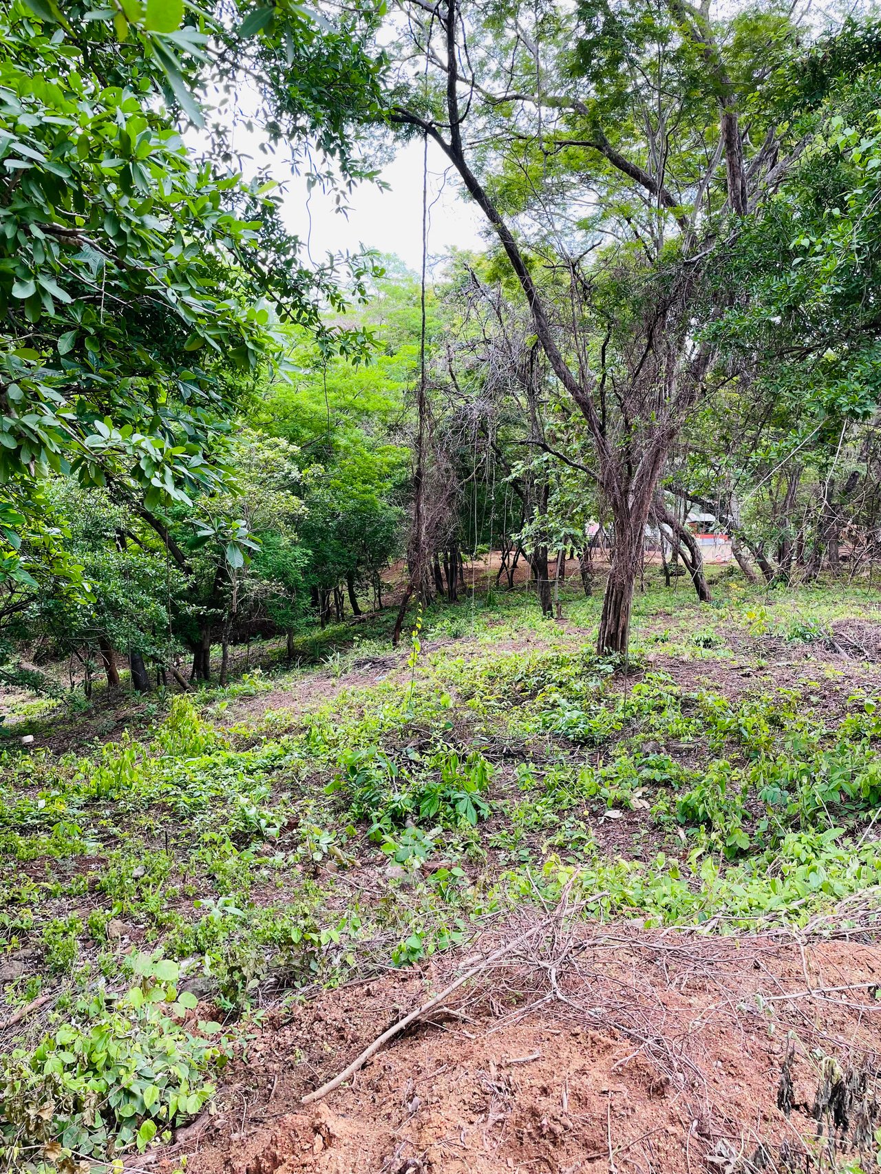 Valle Escondido Development | New Gated Community Near Tamarindo Beach