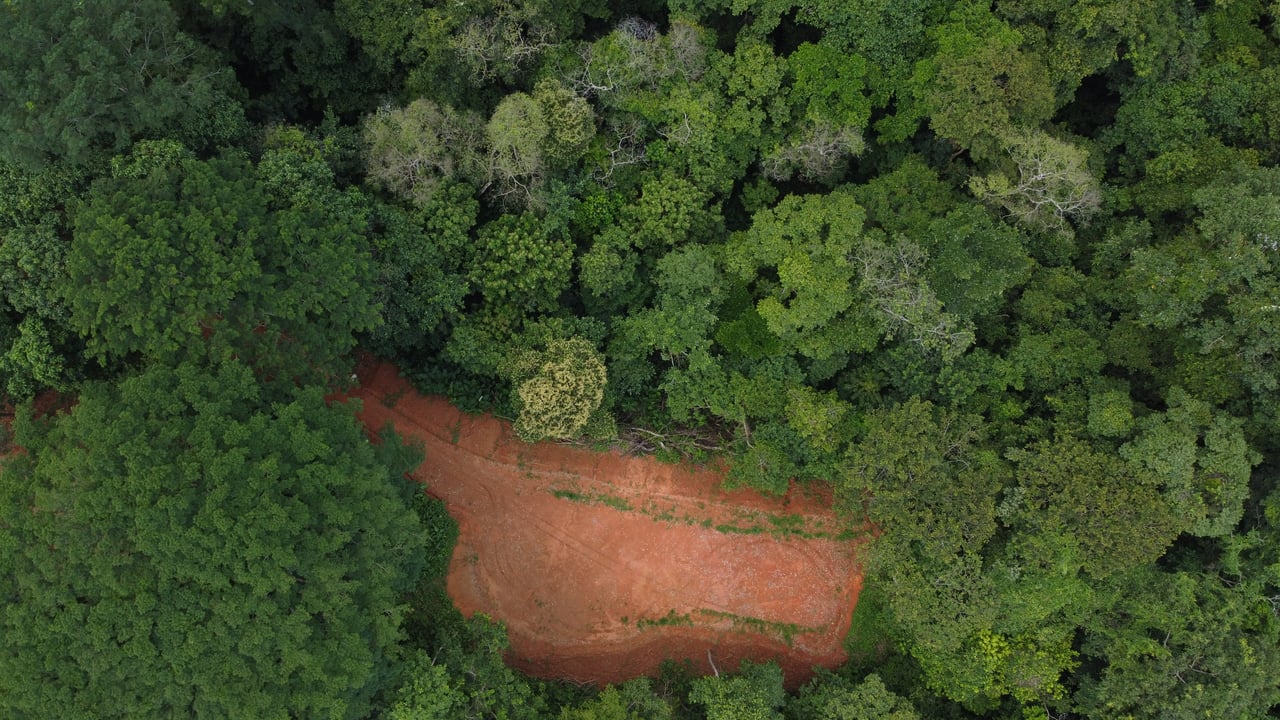 Jungle Oasis with River Frontage Near Dominical – 5.2 Acres of Pure Nature