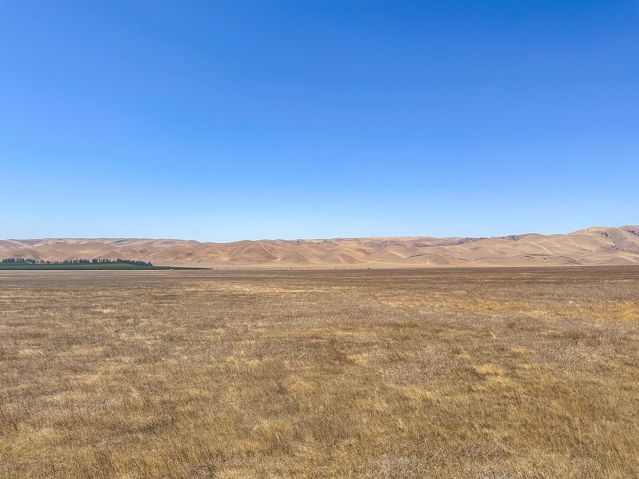 1,742.35 +/- Acres of Rangeland in Berrenda Mesa Water District