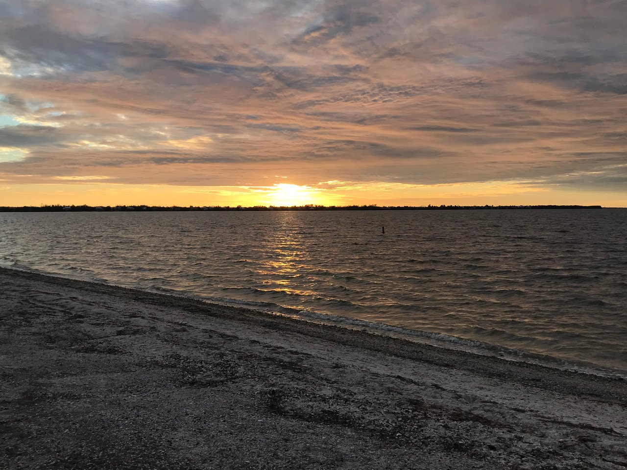 Sanibel’s First-Ever Shell Stroll Is Turning the Island Into One Giant Treasure Hunt