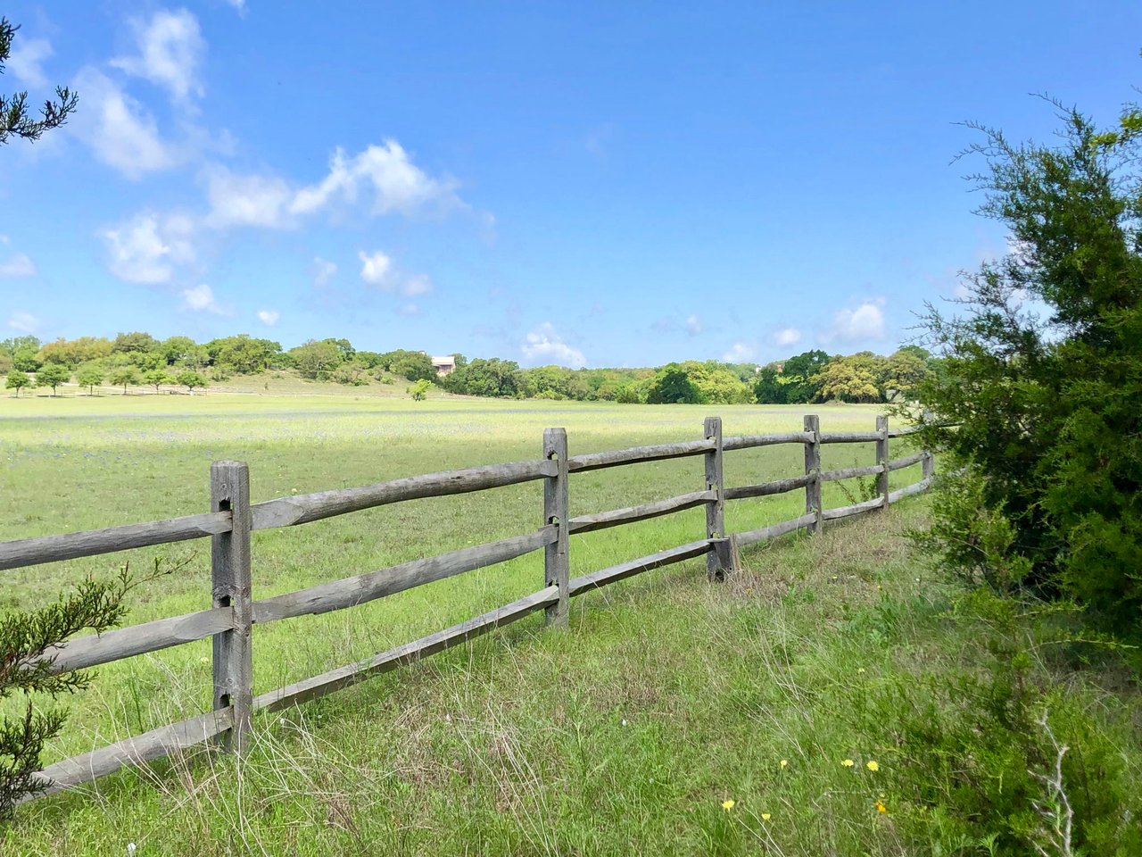 100 Dario Dr. Dripping Springs  Tx 78620