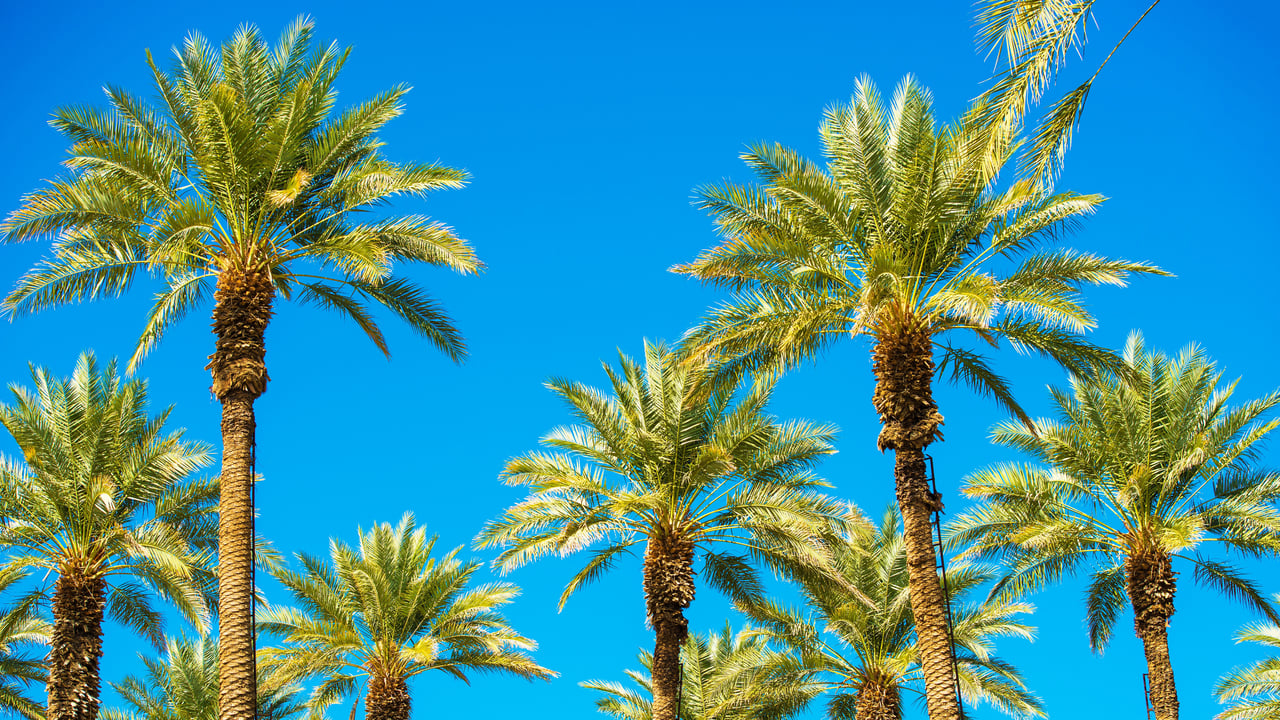 A Deep Dive into the Evergreen, San Jose Real Estate Market Characteristics
