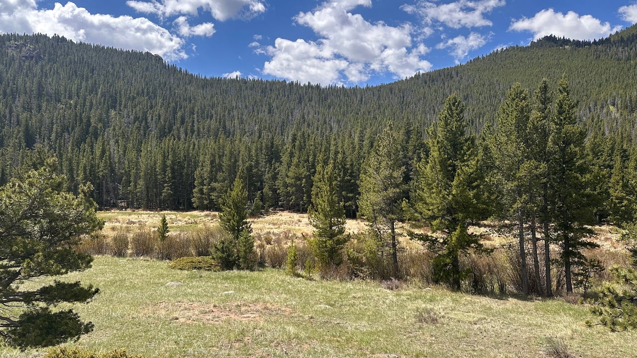 Where the Road Meets the Sky: Driving Trail Ridge Road