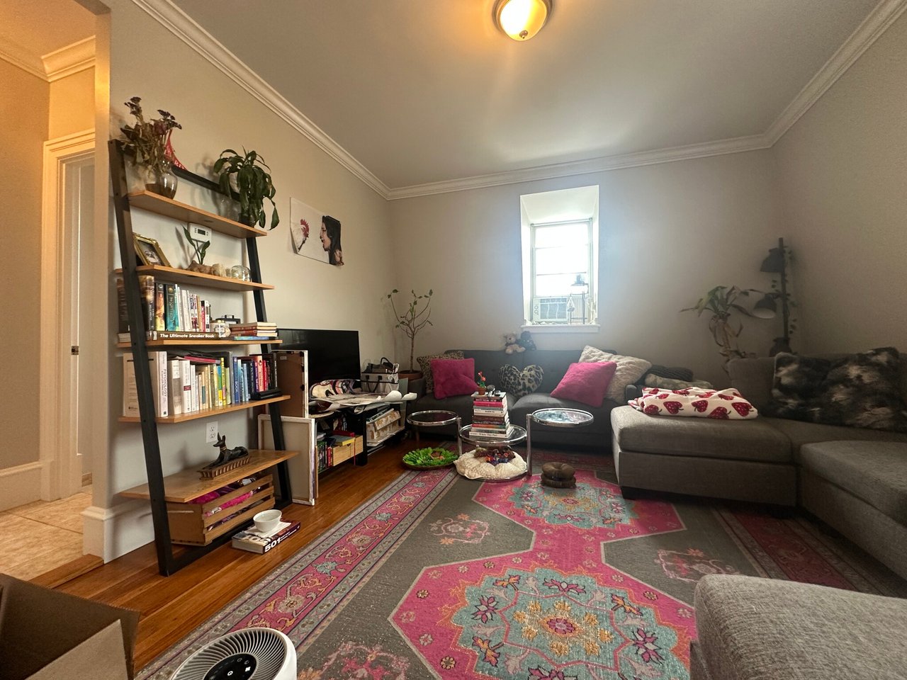 33 Bigelow St #3