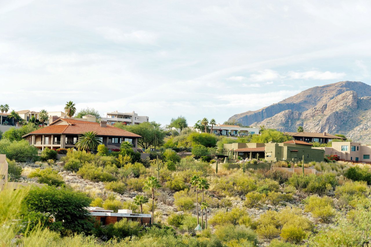 Silverleaf