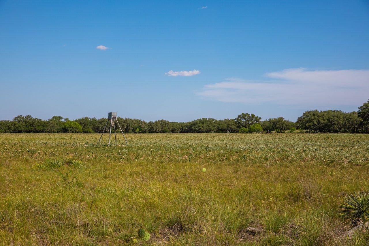 Apache Ranch