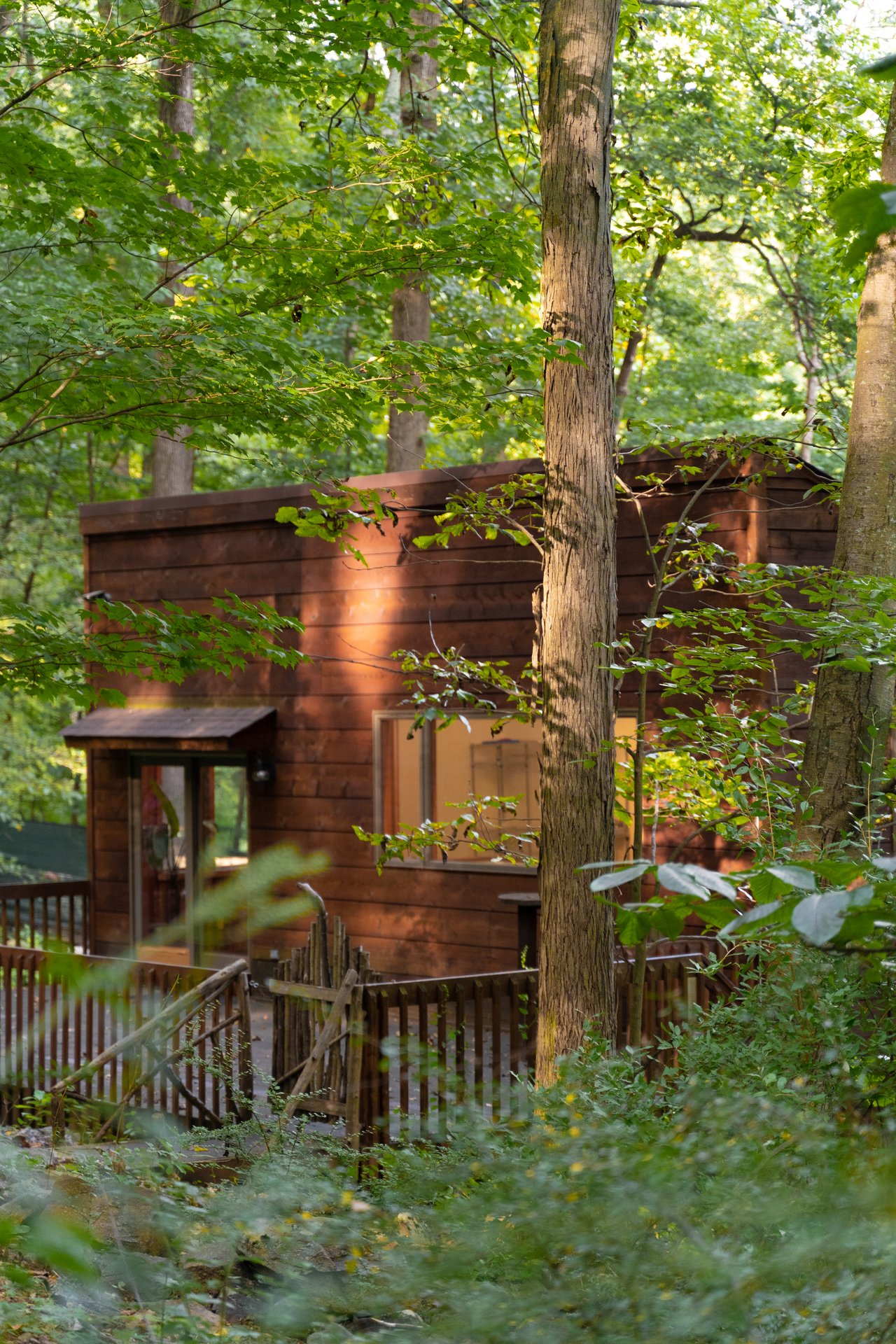 158 Buffalo Hollow Rd
