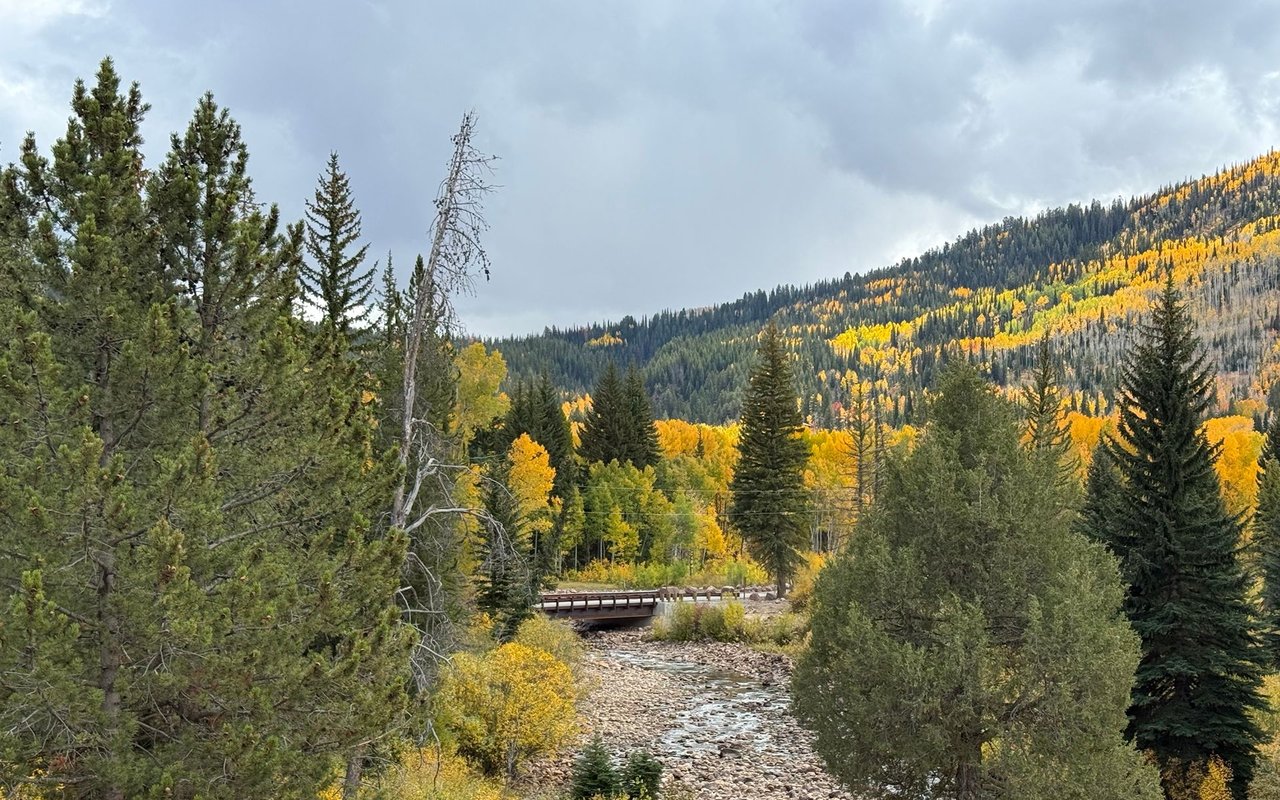 Rocky creek and wooden bridge wind through evergreen forest and golden autumn hillsides.