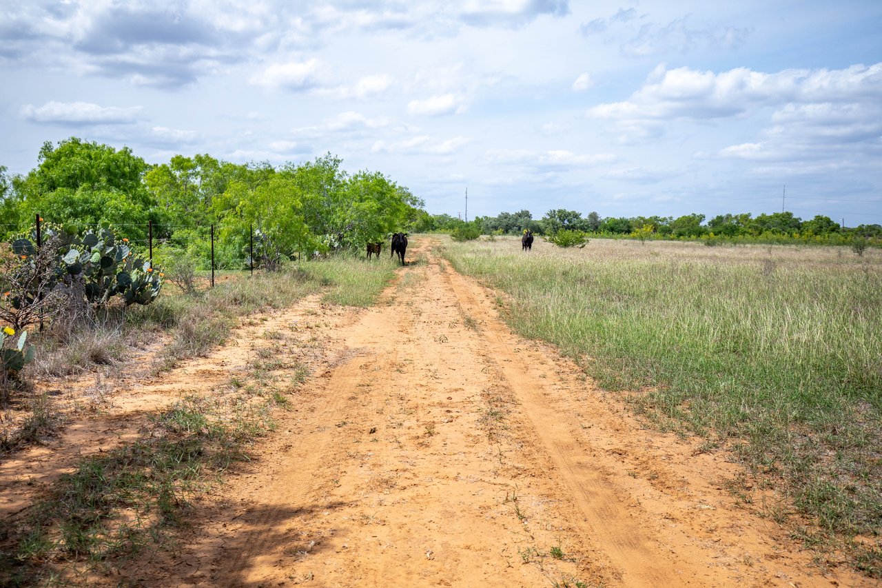 574 PR Goose Creek Ln | 34± Acres | Atascosa County
