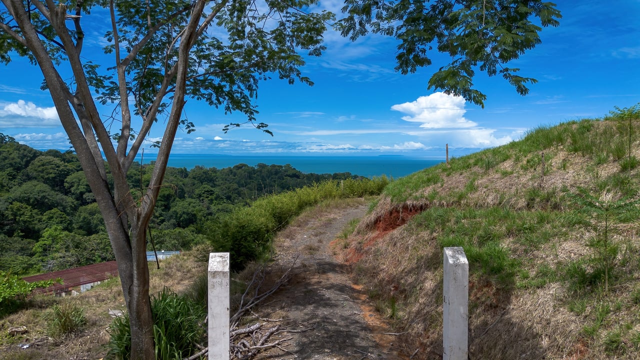  Luxury Ocean View Lot in Piñuelas - Premier Building Site 
