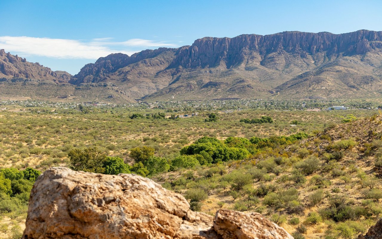 The Pecans of Queen Creek