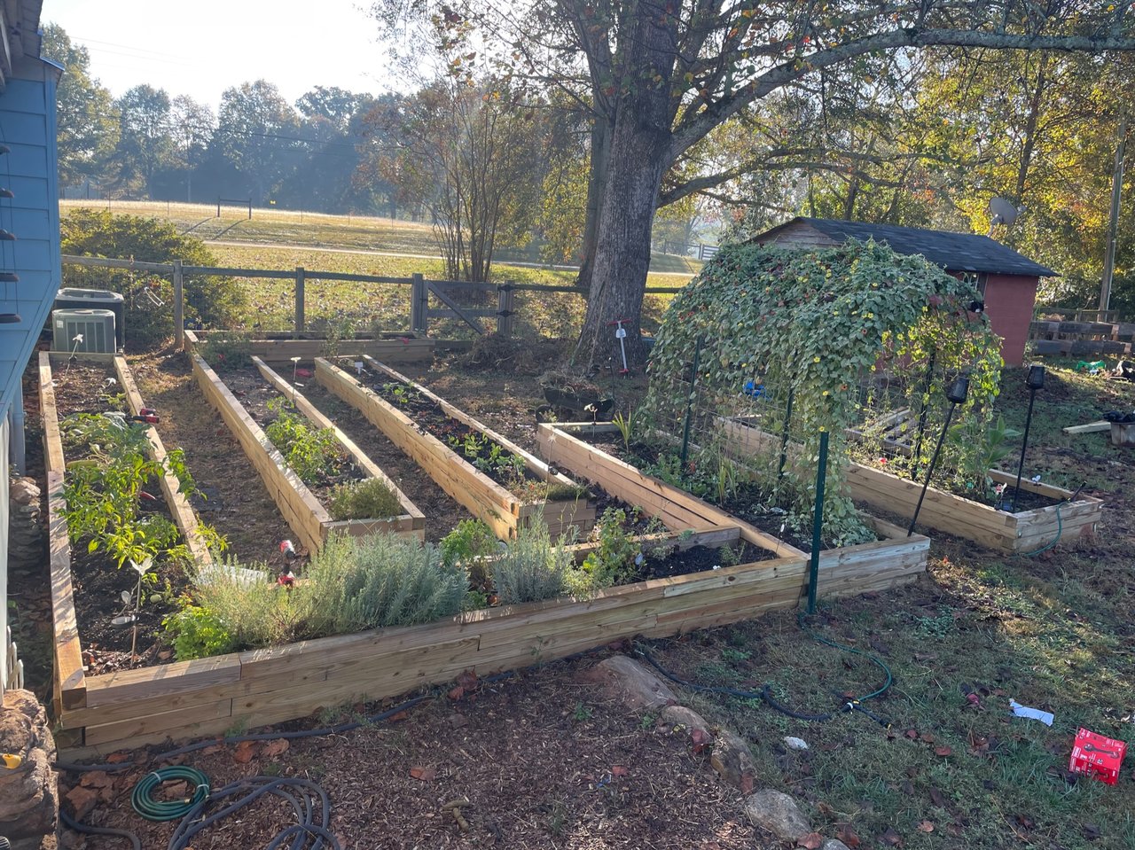 Robust Gardener's Area