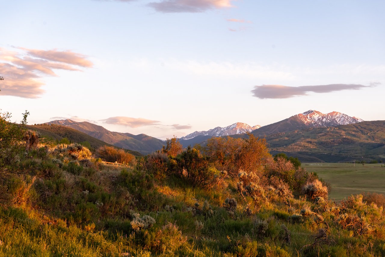 Aspen: Where Austin Founders Disappear in August cover