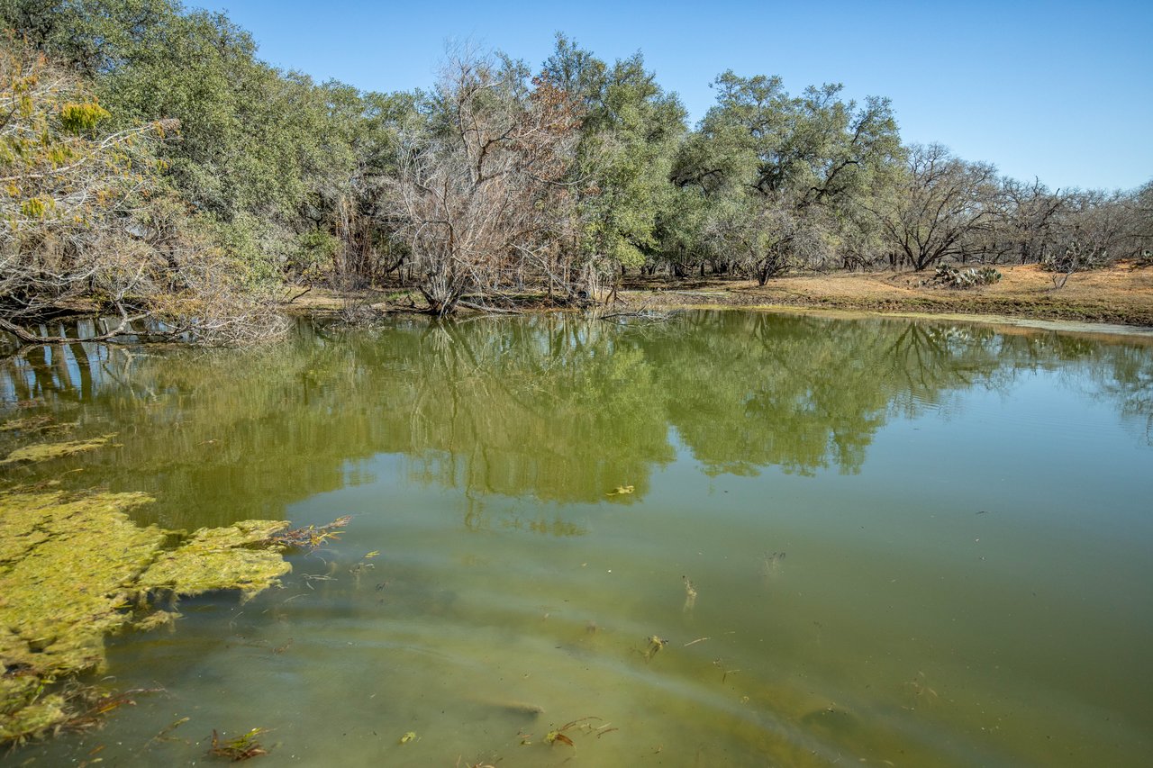 Whispering Pines Floresville Ranch | 298± Acres | Wilson County