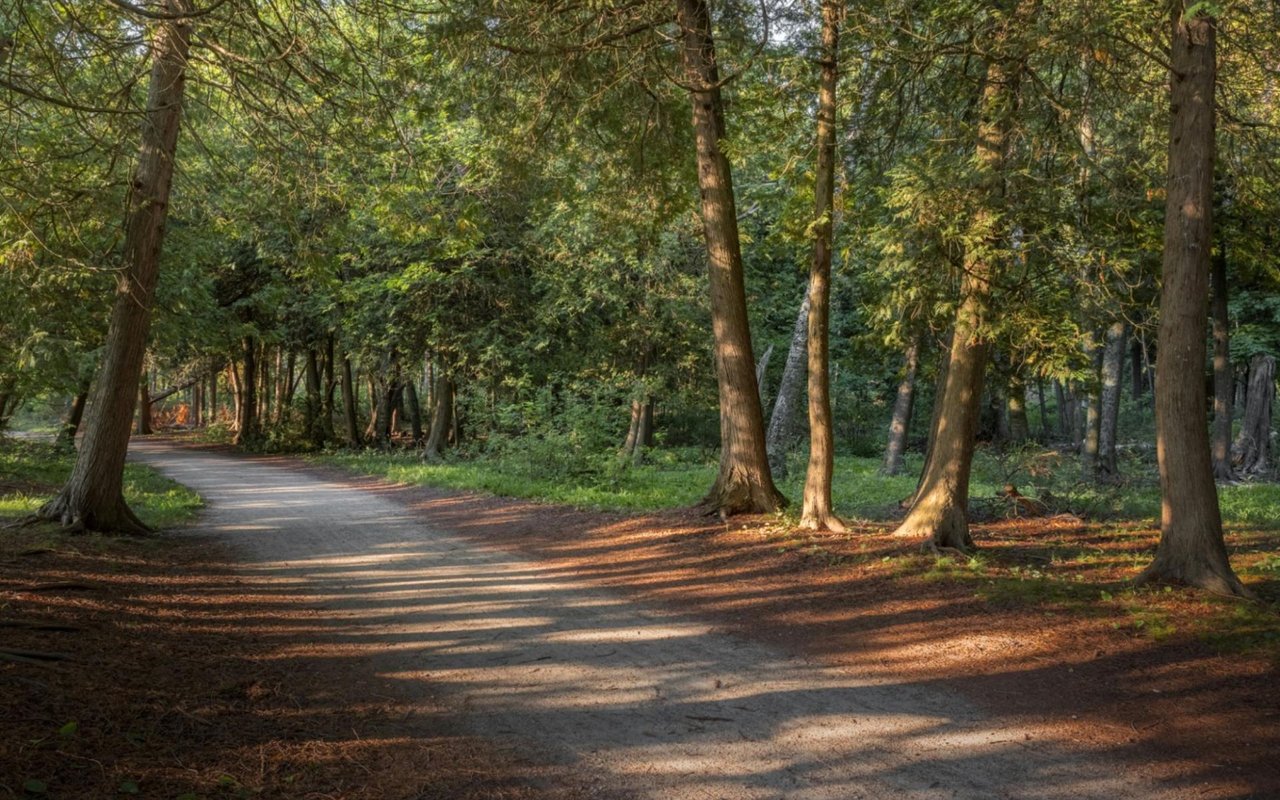 Things to Do in Peninsula State Park