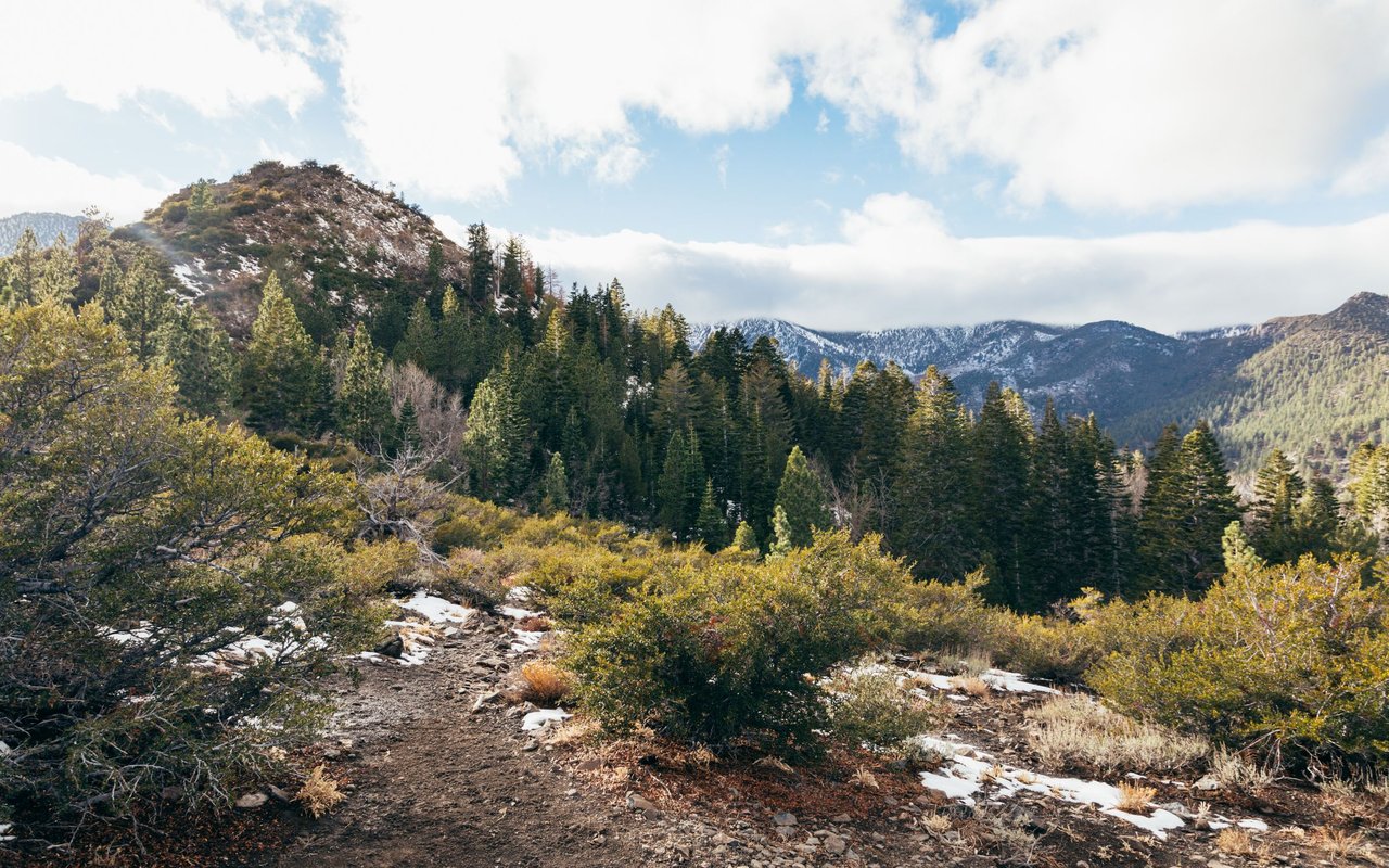 Fieldcreek